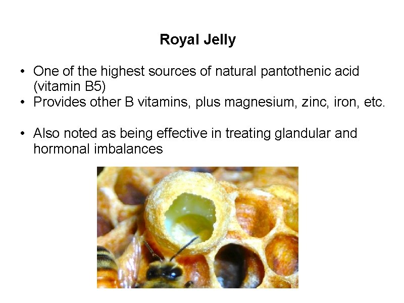 Royal Jelly • One of the highest sources of natural pantothenic acid (vitamin B