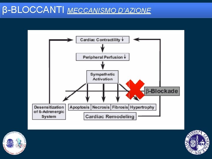 β-BLOCCANTI MECCANISMO D’AZIONE 