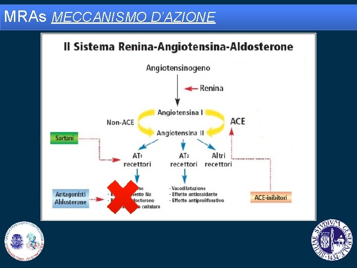 MRAs MECCANISMO D’AZIONE 