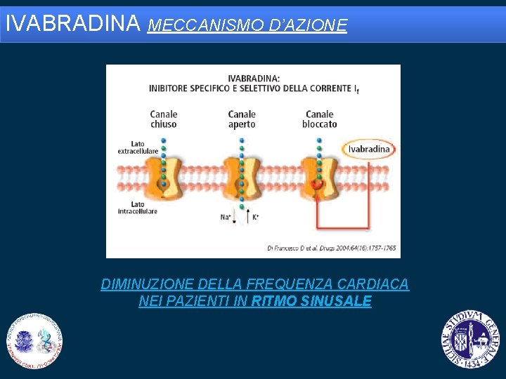 IVABRADINA MECCANISMO D’AZIONE DIMINUZIONE DELLA FREQUENZA CARDIACA NEI PAZIENTI IN RITMO SINUSALE 