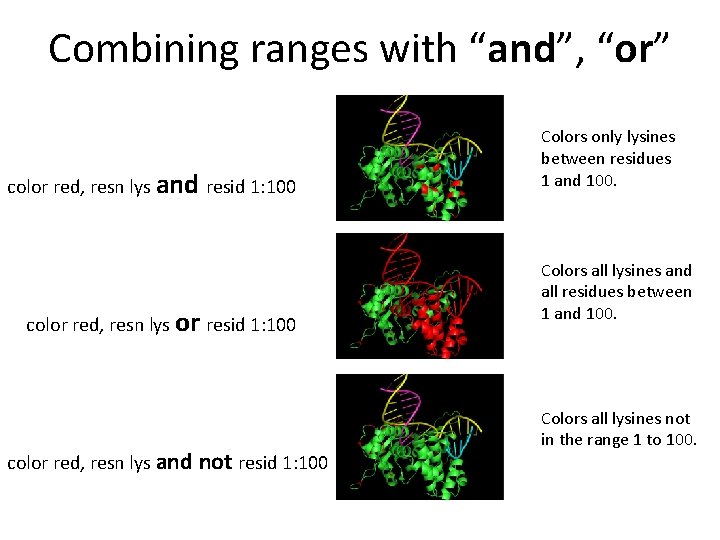 Combining ranges with “and”, “or” color red, resn lys and resid 1: 100 color Combining ranges with “and”, “or” color red, resn lys and resid 1: 100 color