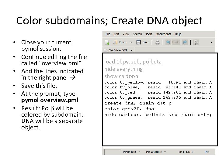 Color subdomains; Create DNA object • Close your current pymol session. • Continue editing Color subdomains; Create DNA object • Close your current pymol session. • Continue editing