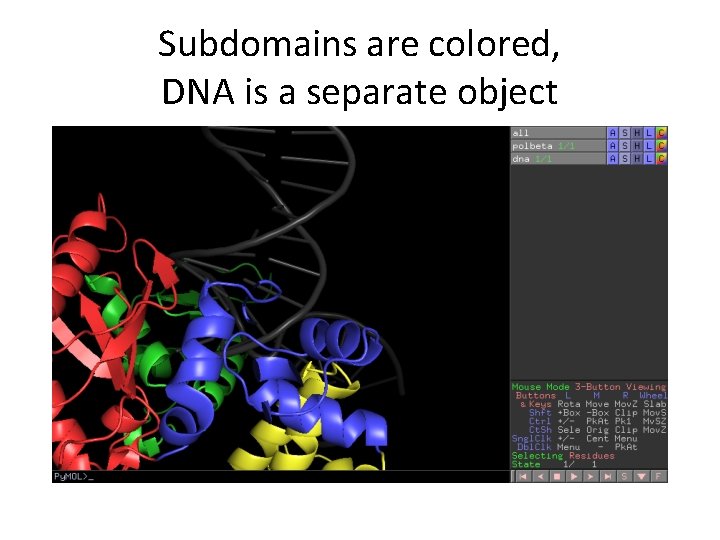 Subdomains are colored, DNA is a separate object Subdomains are colored, DNA is a separate object