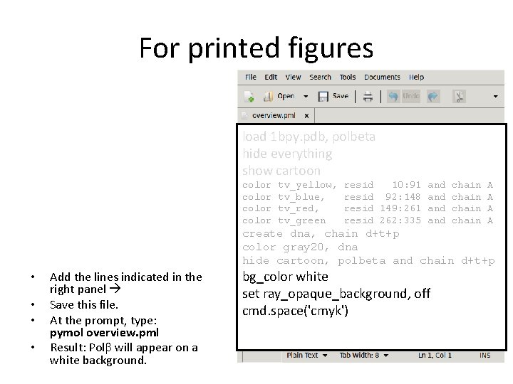 For printed figures load 1 bpy. pdb, polbeta hide everything show cartoon color tv_yellow, For printed figures load 1 bpy. pdb, polbeta hide everything show cartoon color tv_yellow,