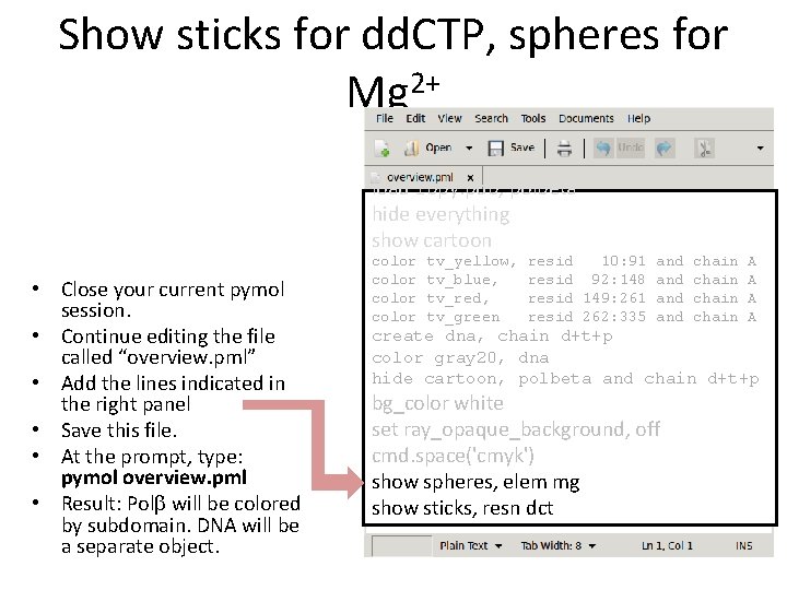 Show sticks for dd. CTP, spheres for Mg 2+ load 1 bpy. pdb, polbeta Show sticks for dd. CTP, spheres for Mg 2+ load 1 bpy. pdb, polbeta