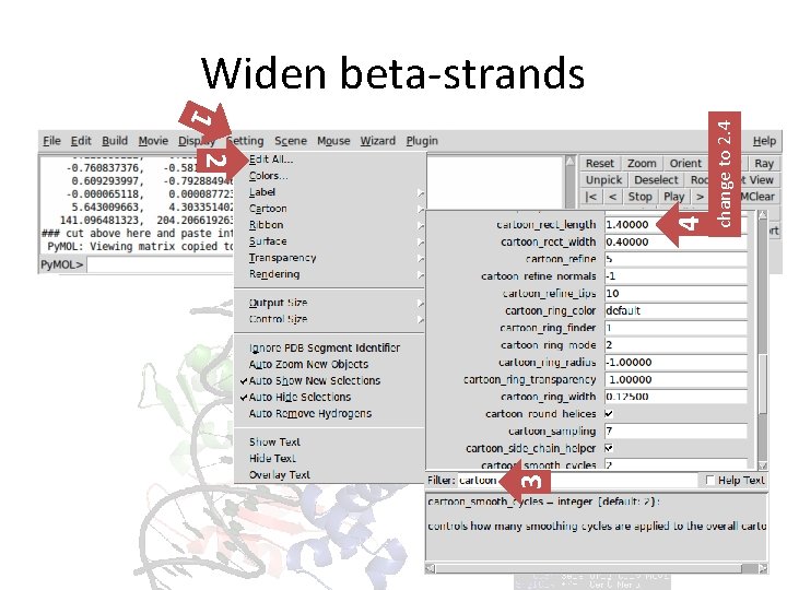 3 4 1 2 change to 2. 4 Widen beta-strands 3 4 1 2 change to 2. 4 Widen beta-strands