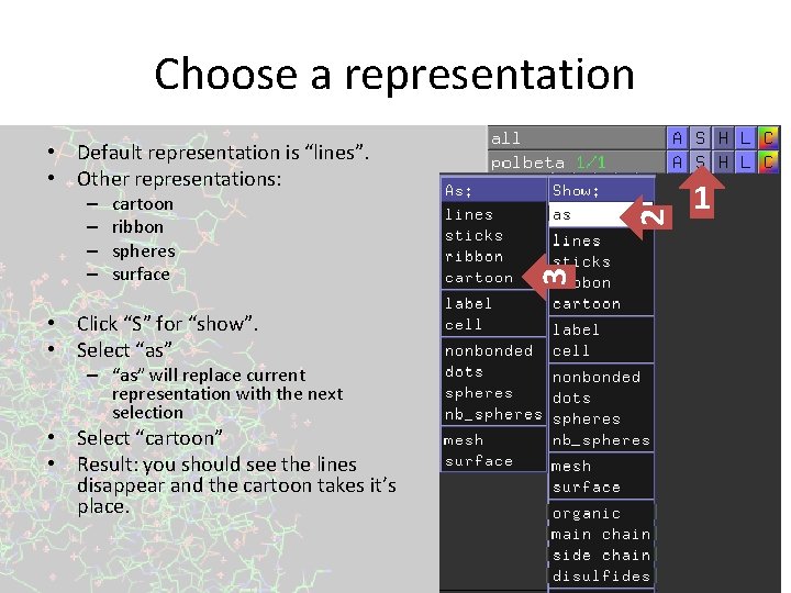 Choose a representation cartoon ribbon spheres surface • Click “S” for “show”. • Select Choose a representation cartoon ribbon spheres surface • Click “S” for “show”. • Select