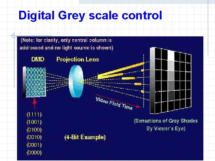 Digital Grey scale control 