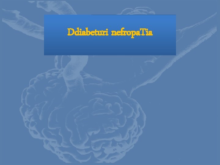 Ddiabeturi nefropa. Tia 