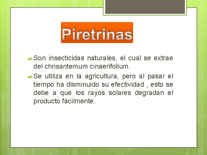 Piretrinas Son insecticidas naturales, el cual se extrae del chrisantemum cinaerifolium. Se utiliza en