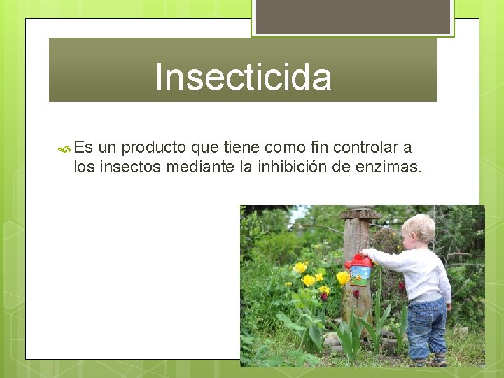 Insecticida Es un producto que tiene como fin controlar a los insectos mediante la