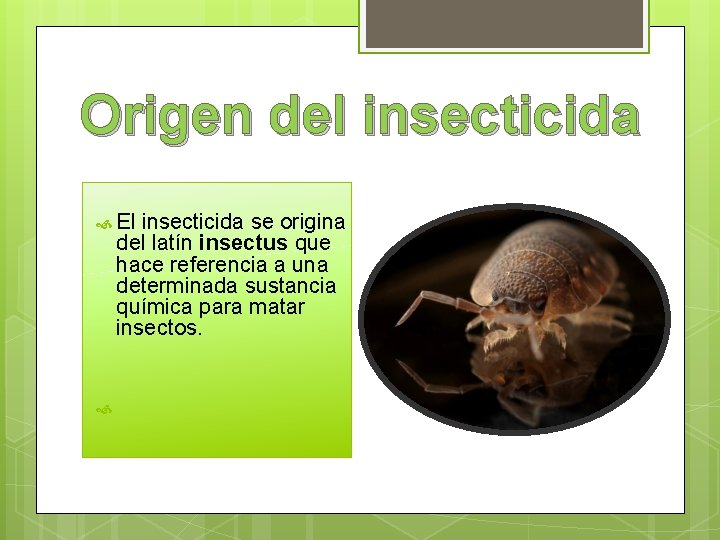 Origen del insecticida El insecticida se origina del latín insectus que hace referencia a