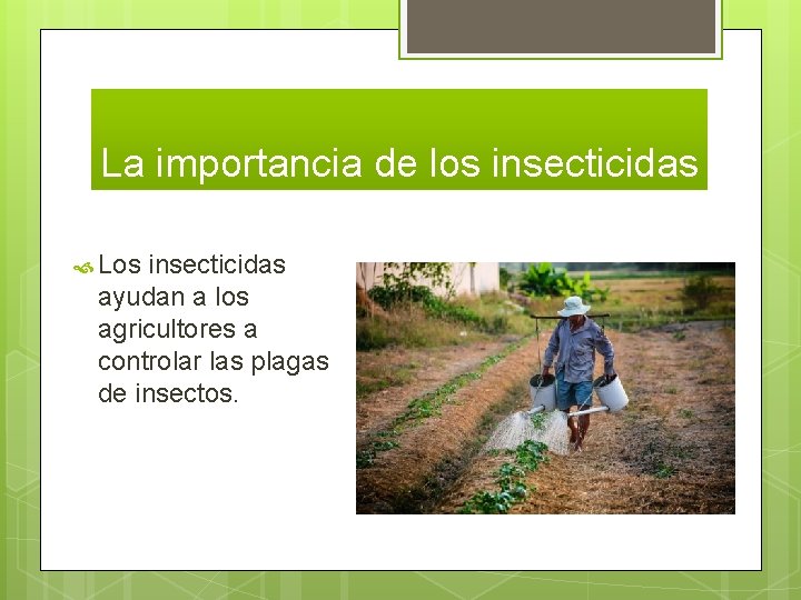 La importancia de los insecticidas Los insecticidas ayudan a los agricultores a controlar las