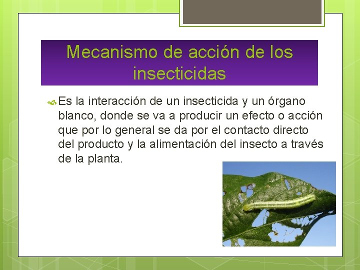 Mecanismo de acción de los insecticidas Es la interacción de un insecticida y un