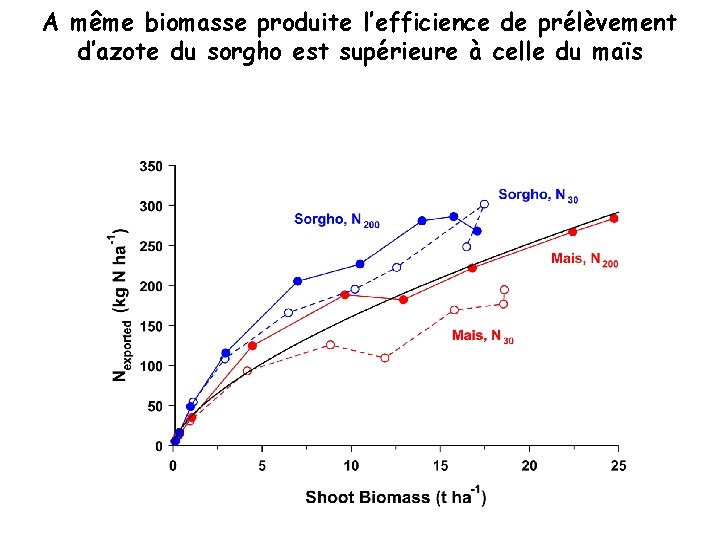 A même biomasse produite l’efficience de prélèvement d’azote du sorgho est supérieure à celle A même biomasse produite l’efficience de prélèvement d’azote du sorgho est supérieure à celle