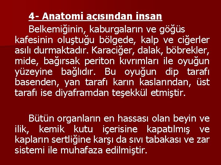 4 - Anatomi açısından insan Belkemiğinin, kaburgaların ve göğüs kafesinin oluştuğu bölgede, kalp ve