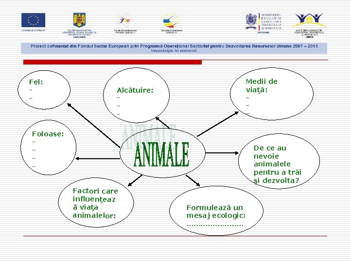 Fel: - Alcătuire: - Medii de viaţă: - Foloase: - De ce au nevoie