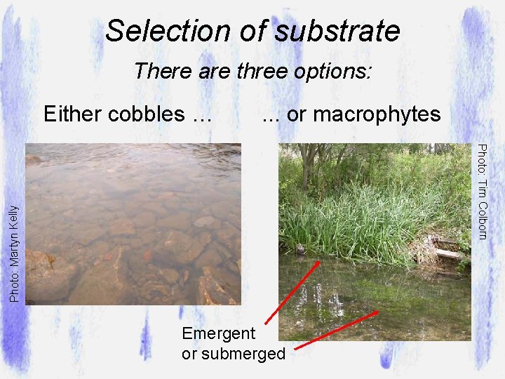 Selection of substrate There are three options: Either cobbles … . . . or