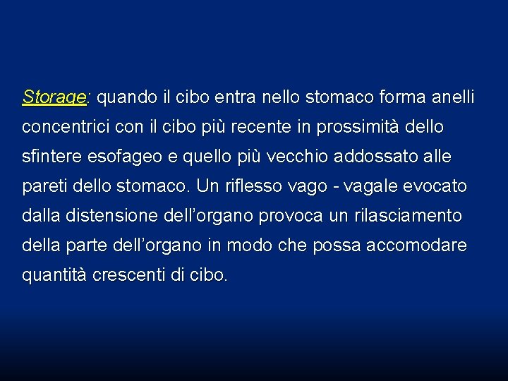 Storage: quando il cibo entra nello stomaco forma anelli concentrici con il cibo più Storage: quando il cibo entra nello stomaco forma anelli concentrici con il cibo più