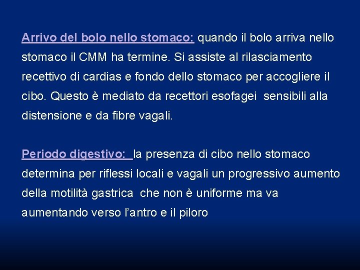 Arrivo del bolo nello stomaco: quando il bolo arriva nello stomaco il CMM ha Arrivo del bolo nello stomaco: quando il bolo arriva nello stomaco il CMM ha