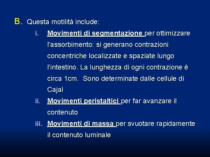 B. Questa motilità include: i. Movimenti di segmentazione per ottimizzare l’assorbimento: si generano contrazioni B. Questa motilità include: i. Movimenti di segmentazione per ottimizzare l’assorbimento: si generano contrazioni