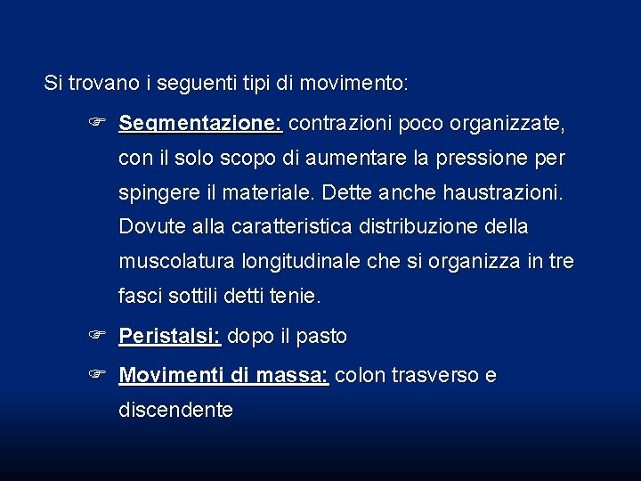 Si trovano i seguenti tipi di movimento: Segmentazione: contrazioni poco organizzate, con il solo Si trovano i seguenti tipi di movimento: Segmentazione: contrazioni poco organizzate, con il solo