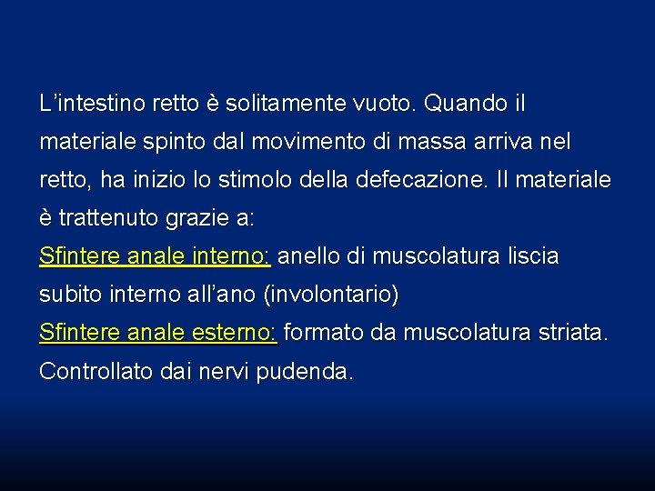 L’intestino retto è solitamente vuoto. Quando il materiale spinto dal movimento di massa arriva L’intestino retto è solitamente vuoto. Quando il materiale spinto dal movimento di massa arriva