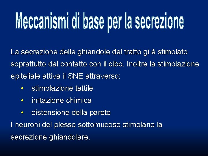 La secrezione delle ghiandole del tratto gi è stimolato soprattutto dal contatto con il La secrezione delle ghiandole del tratto gi è stimolato soprattutto dal contatto con il