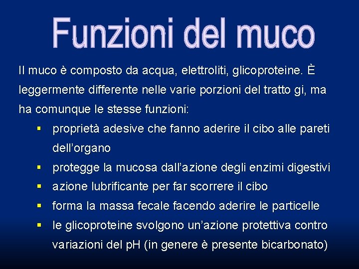 Il muco è composto da acqua, elettroliti, glicoproteine. È leggermente differente nelle varie porzioni Il muco è composto da acqua, elettroliti, glicoproteine. È leggermente differente nelle varie porzioni