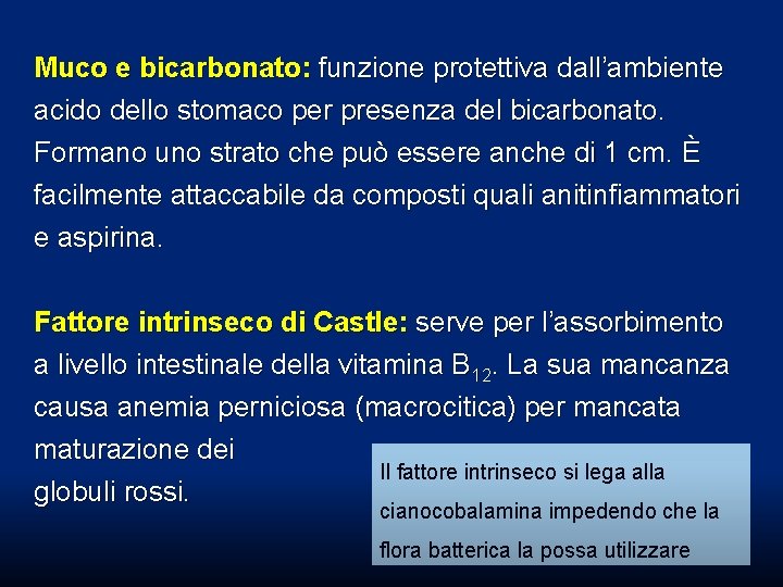 Muco e bicarbonato: funzione protettiva dall’ambiente acido dello stomaco per presenza del bicarbonato. Formano Muco e bicarbonato: funzione protettiva dall’ambiente acido dello stomaco per presenza del bicarbonato. Formano