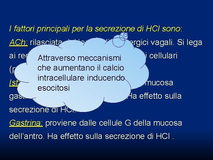 I fattori principali per la secrezione di HCl sono: ACh: rilasciata dai terminali colinergici I fattori principali per la secrezione di HCl sono: ACh: rilasciata dai terminali colinergici