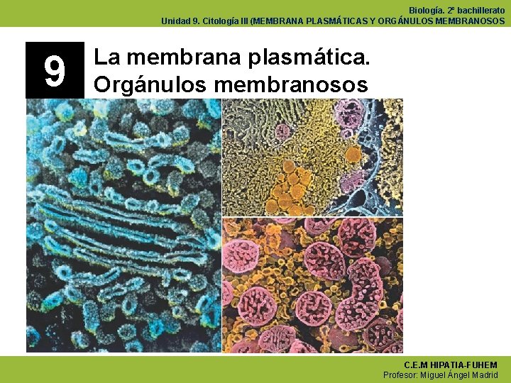 Biología. 2º bachillerato Unidad 9. Citología III (MEMBRANA PLASMÁTICAS Y ORGÁNULOS MEMBRANOSOS 9 La