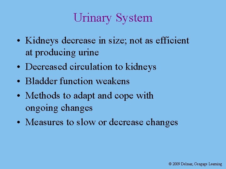 Urinary System • Kidneys decrease in size; not as efficient at producing urine •
