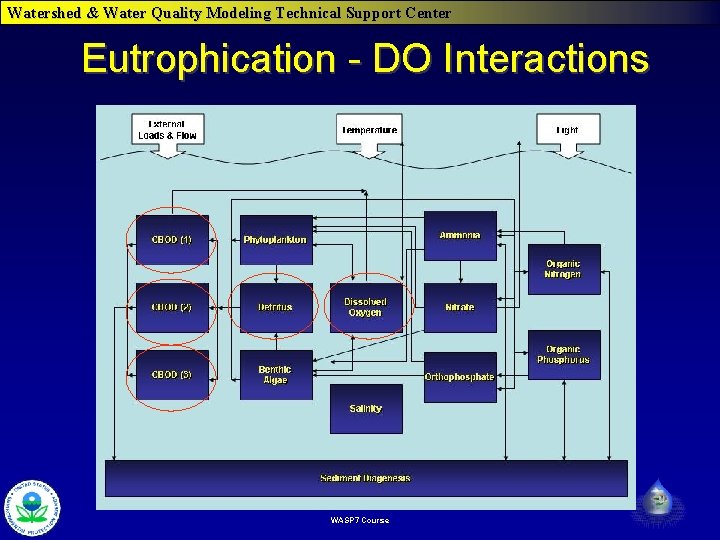 Watershed & Water Quality Modeling Technical Support Center Eutrophication - DO Interactions WASP 7