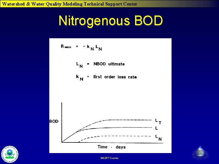 Watershed & Water Quality Modeling Technical Support Center Nitrogenous BOD WASP 7 Course 