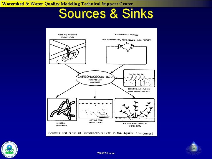 Watershed & Water Quality Modeling Technical Support Center Sources & Sinks WASP 7 Course