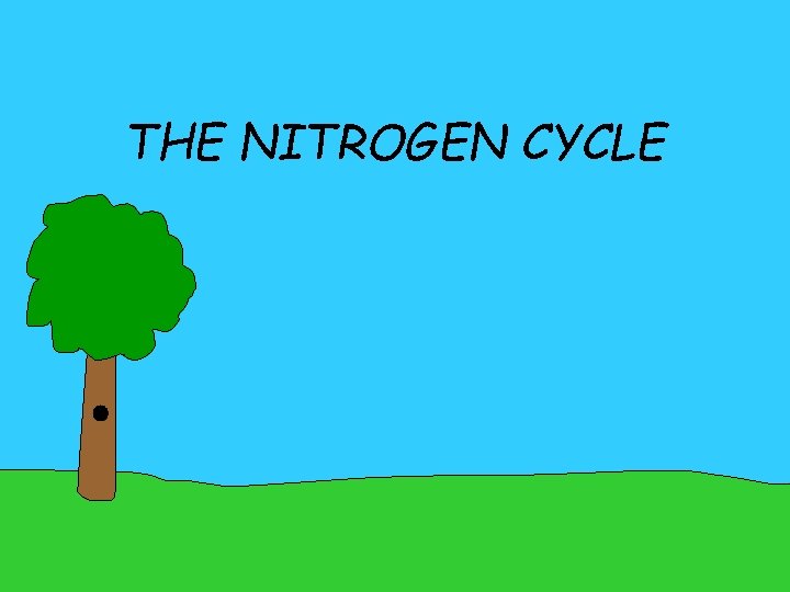 THE NITROGEN CYCLE 