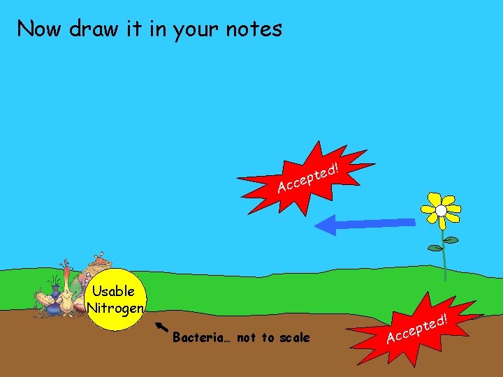 Now draw it in your notes ! ed t p e Acc Usable Nitrogen