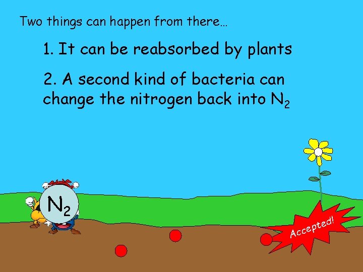 Two things can happen from there… 1. It can be reabsorbed by plants 2.