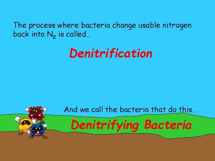 The process where bacteria change usable nitrogen back into N 2 is called… Denitrification