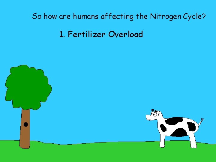 So how are humans affecting the Nitrogen Cycle? 1. Fertilizer Overload 