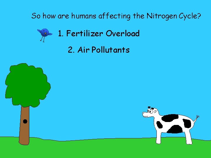 So how are humans affecting the Nitrogen Cycle? 1. Fertilizer Overload 2. Air Pollutants