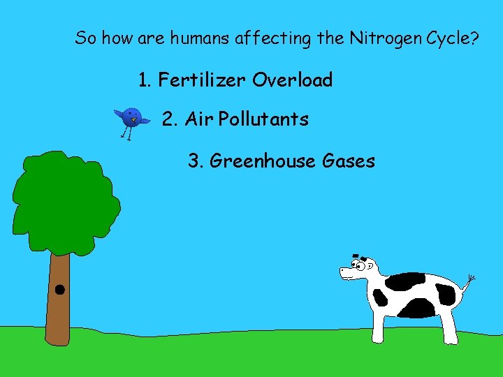 So how are humans affecting the Nitrogen Cycle? 1. Fertilizer Overload 2. Air Pollutants