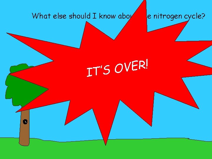 What else should I know about the nitrogen cycle? Legumes Lightning ER! V O