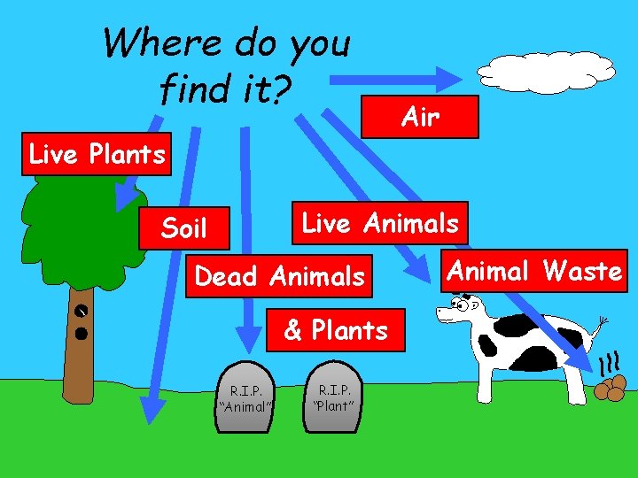 Where do you find it? Air Live Plants Live Animals Soil Dead Animals &