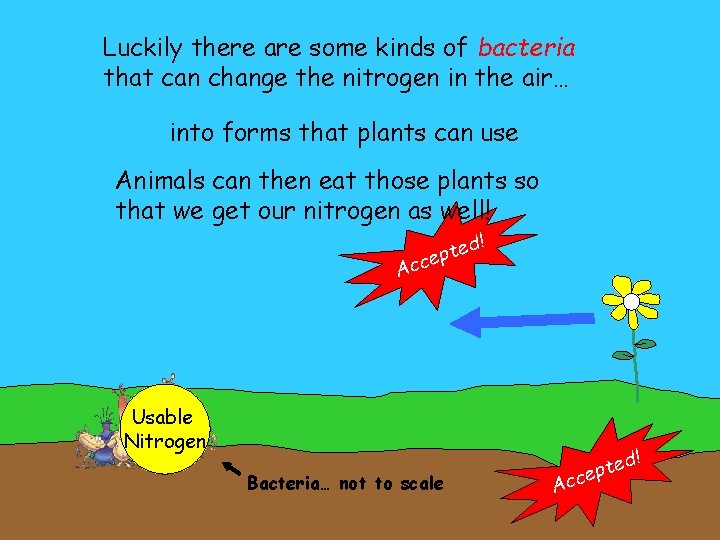 Luckily there are some kinds of bacteria that can change the nitrogen in the