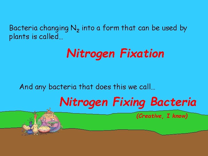 Bacteria changing N 2 into a form that can be used by plants is