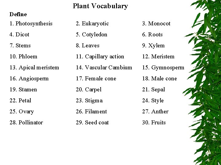 Plant Vocabulary Define 1. Photosynthesis 2. Eukaryotic 3. Monocot 4. Dicot 5. Cotyledon 6.