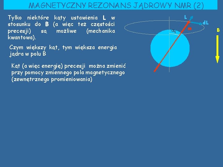 MAGNETYCZNY REZONANS JĄDROWY NMR (2) Tylko niektóre kąty ustawienia L w stosunku do B MAGNETYCZNY REZONANS JĄDROWY NMR (2) Tylko niektóre kąty ustawienia L w stosunku do B