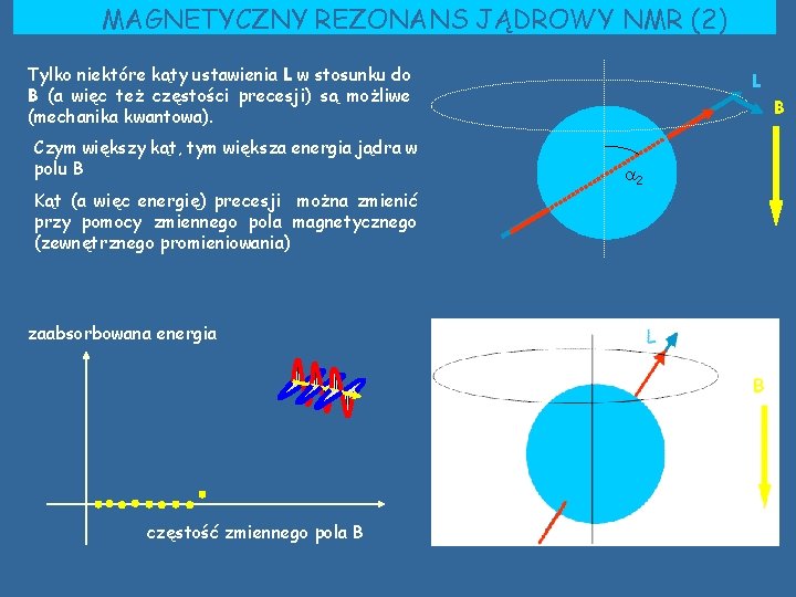 MAGNETYCZNY REZONANS JĄDROWY NMR (2) Tylko niektóre kąty ustawienia L w stosunku do B MAGNETYCZNY REZONANS JĄDROWY NMR (2) Tylko niektóre kąty ustawienia L w stosunku do B